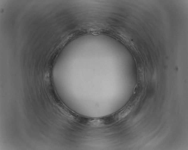 X0000073950269200609181408