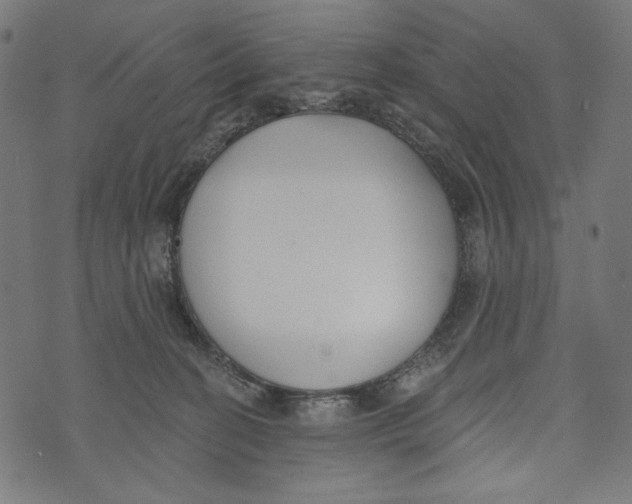 X0000073950274200609181408