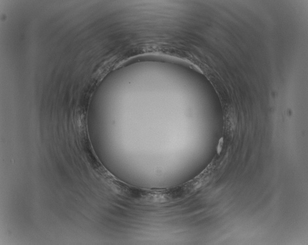 X0000073950276200609181409