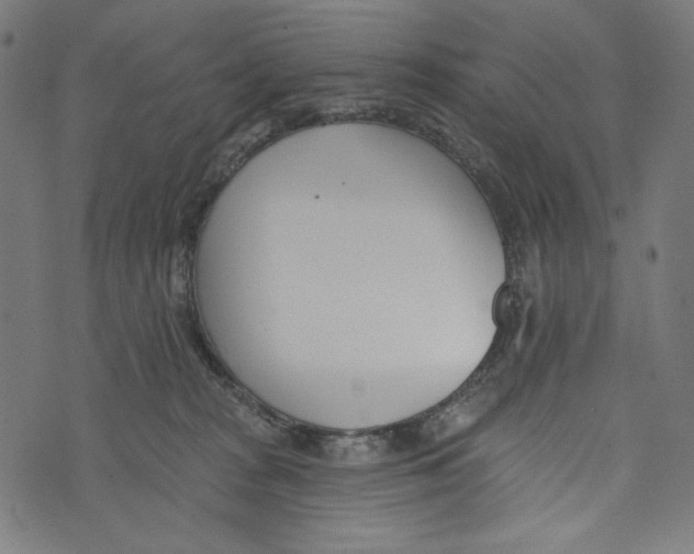 X0000073950277200609181409