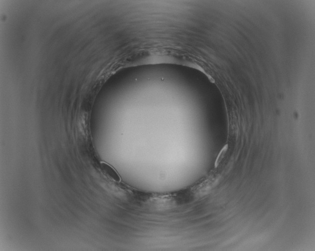 X0000073950280200609181409