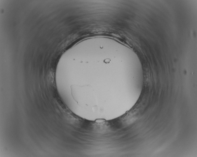 X0000073950281200609181409