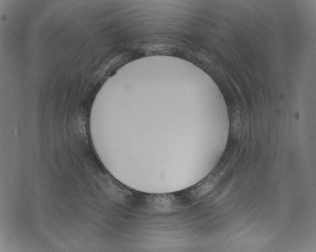 X0000073950282200609181409