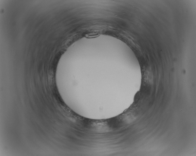 X0000073950283200609181409