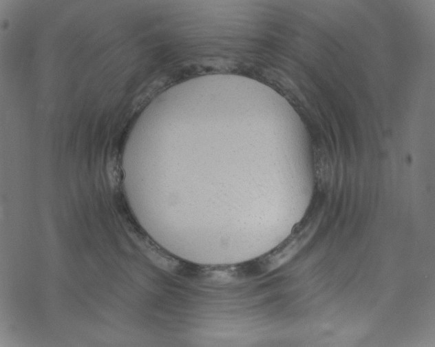 X0000073950285200609181409