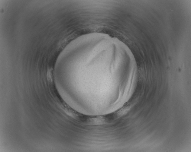 X0000073950286200609181409