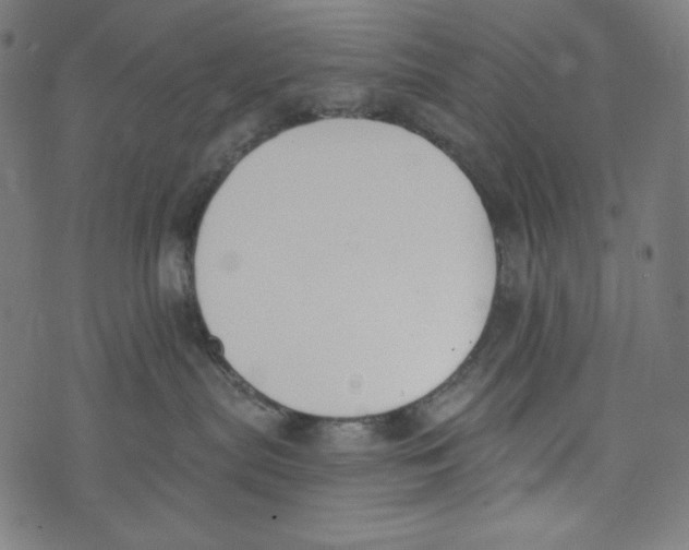 X0000073950287200609181409