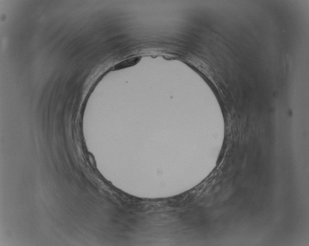 X0000073950289200609181408