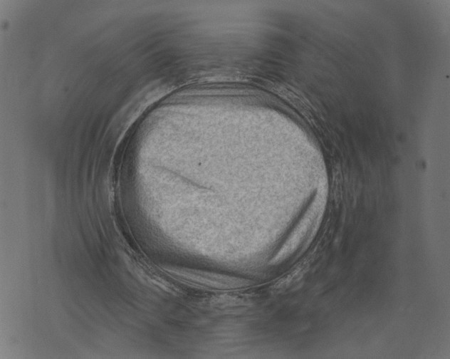 X0000073950290200609181408