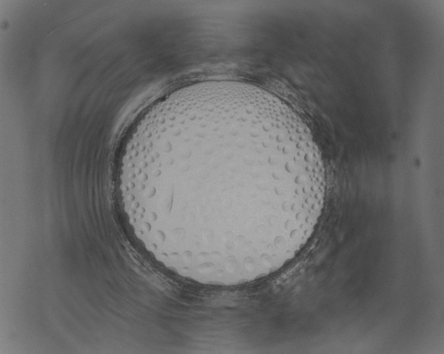 X0000073950293200609181408