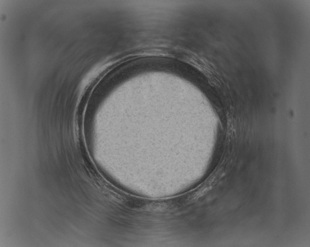 X0000073950294200609181408