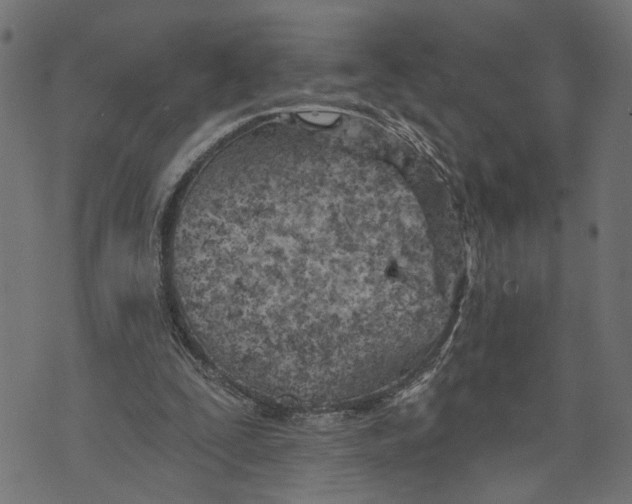 X0000073950295200609181408