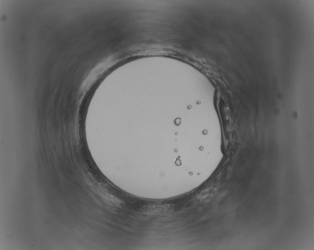 X0000073950296200609181408