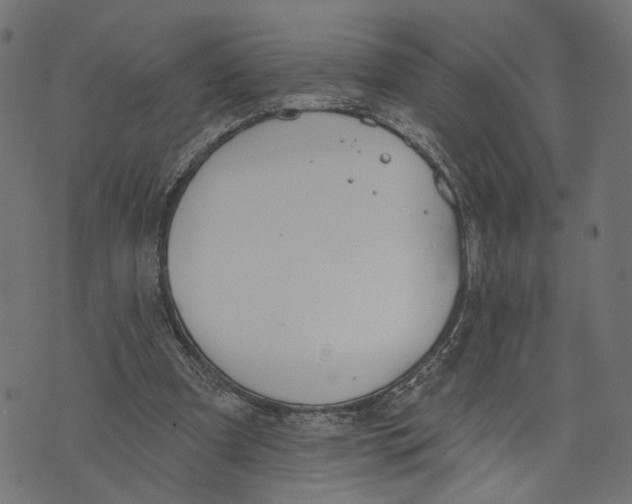 X0000073950297200609181408