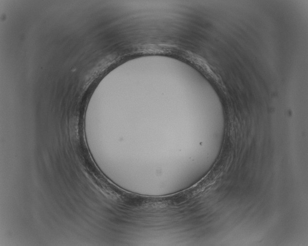 X0000073950299200609181408