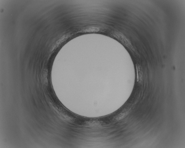 X0000073950300200609181408