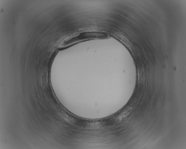 X0000073950301200609181408