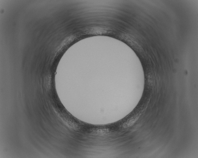 X0000073950304200609181408