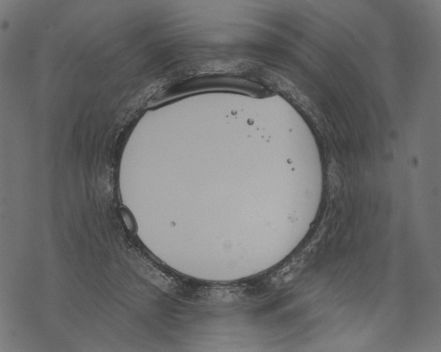 X0000073950305200609181408