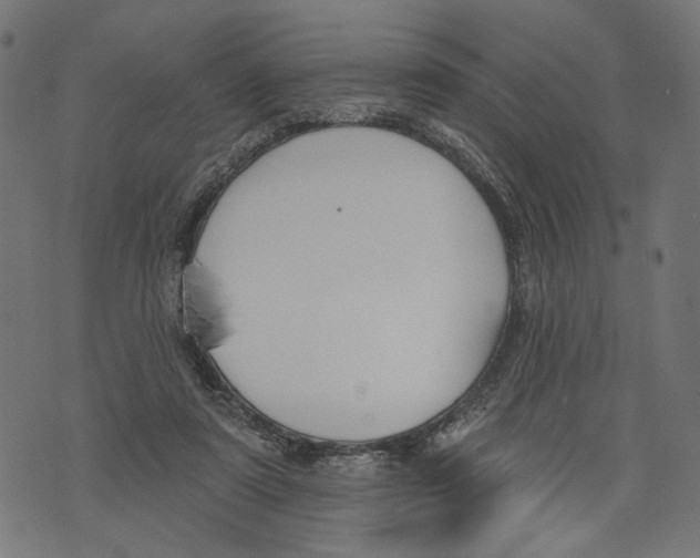 X0000073950307200609181408