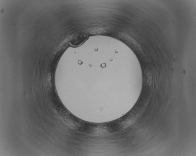 X0000073950308200609181408