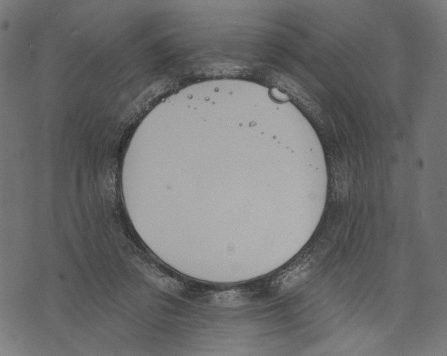 X0000073950309200609181408