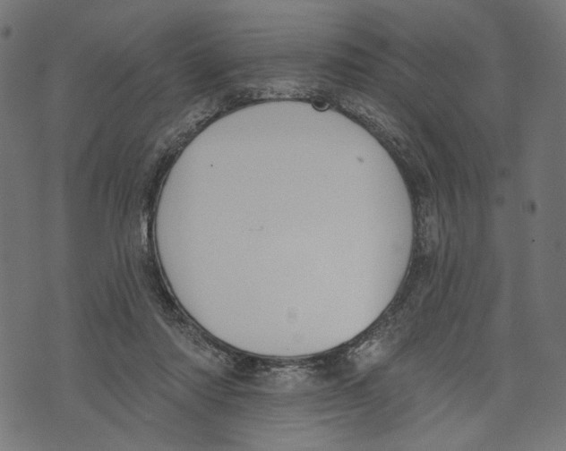 X0000073950310200609181408