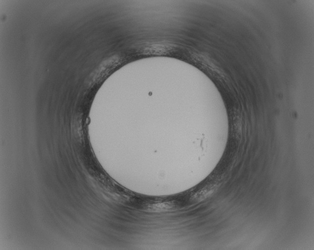 X0000073950312200609181408