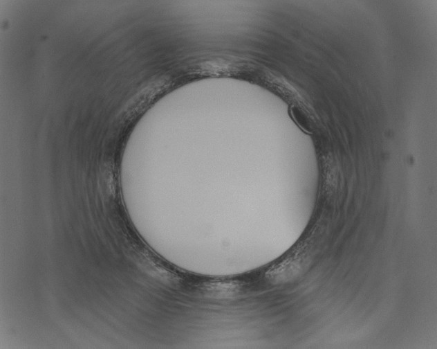 X0000073950313200609181408