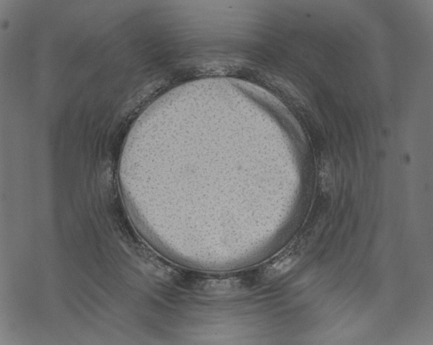 X0000073950314200609181408