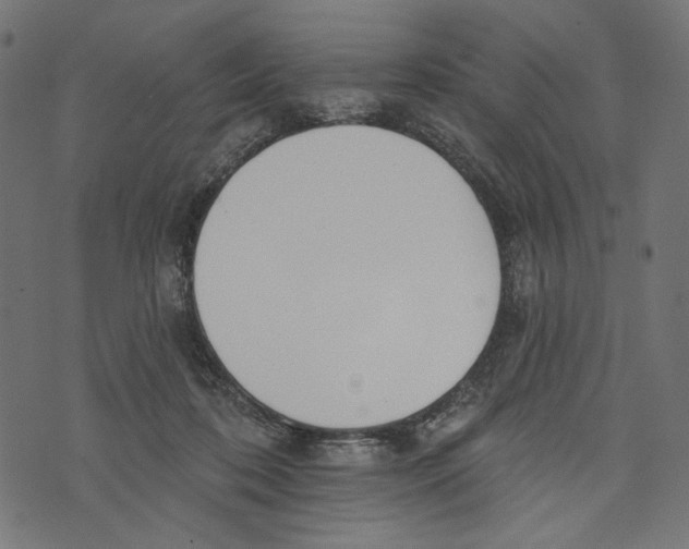 X0000073950316200609181407