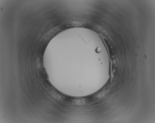 X0000073950317200609181407