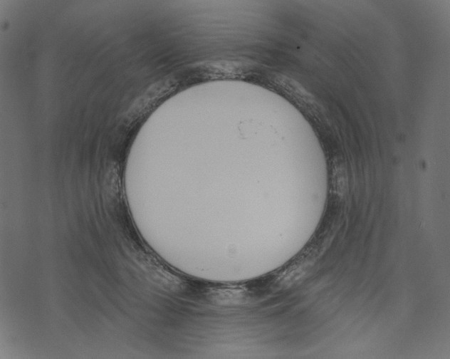 X0000073950318200609181407