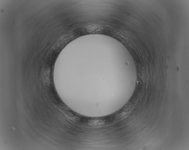 X0000073950319200609181407