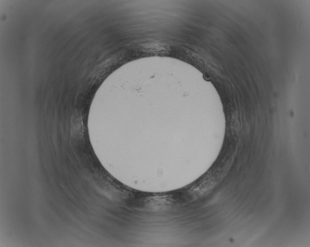 X0000073950320200609181407