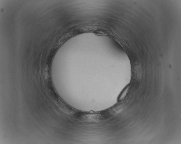 X0000073950323200609181407