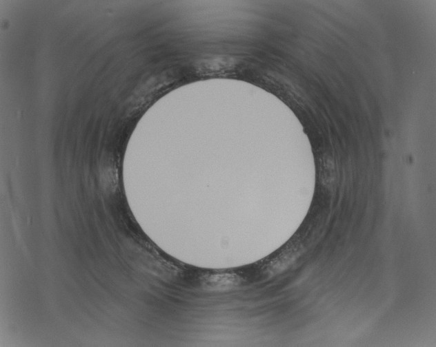 X0000073950324200609181407