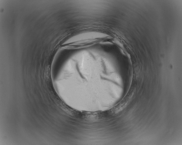 X0000073950325200609181407