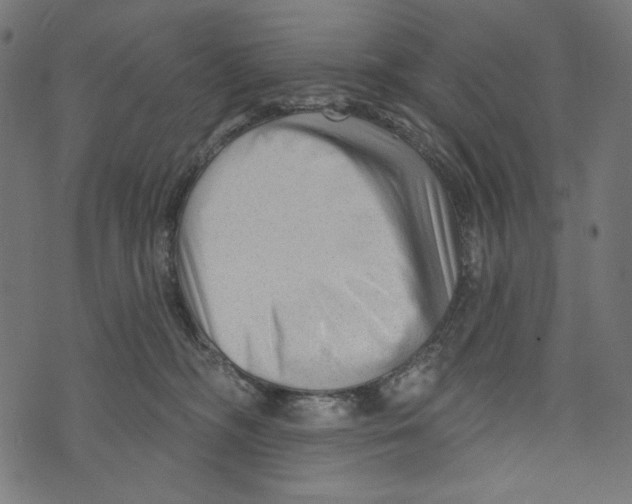 X0000073950326200609181407