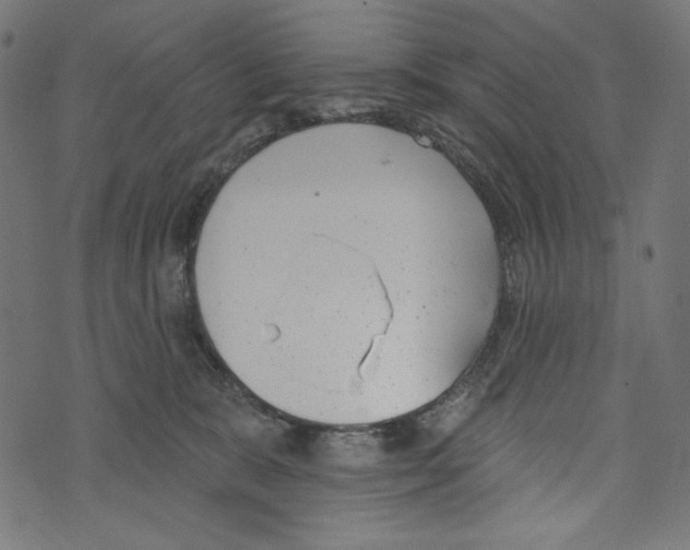 X0000073950327200609181407