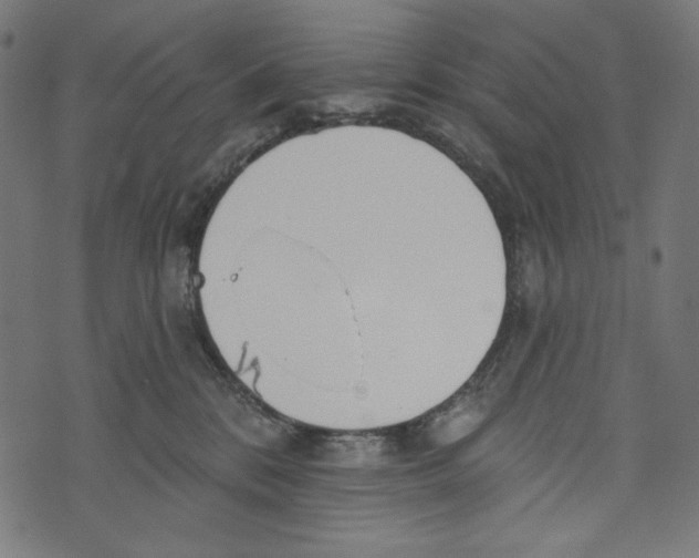 X0000073950328200609181407