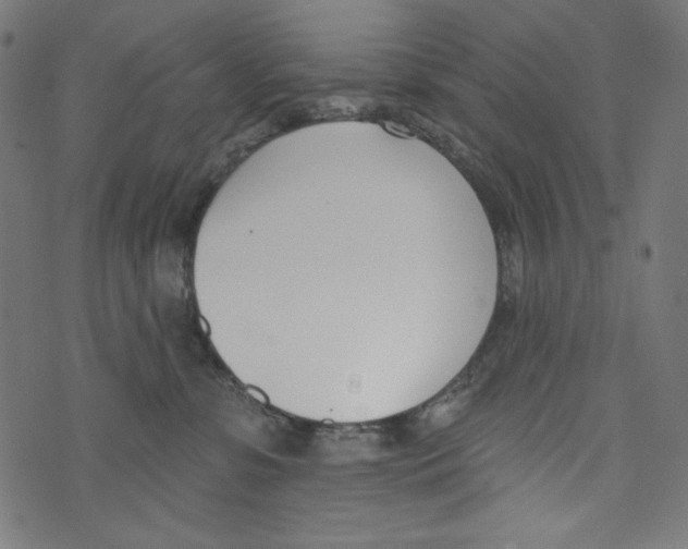 X0000073950331200609181407