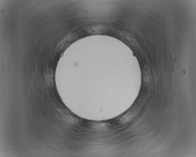 X0000073950332200609181407