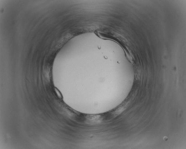 X0000073950334200609181407