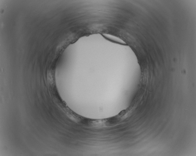 X0000073950335200609181407