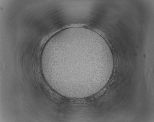 X0000073950337200609181406