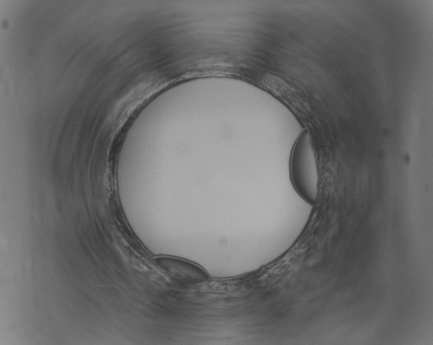 X0000073950338200609181406