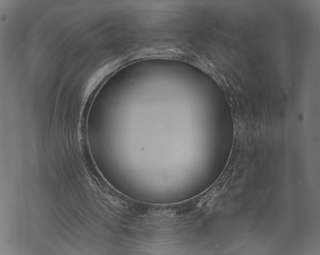 X0000073950340200609181406