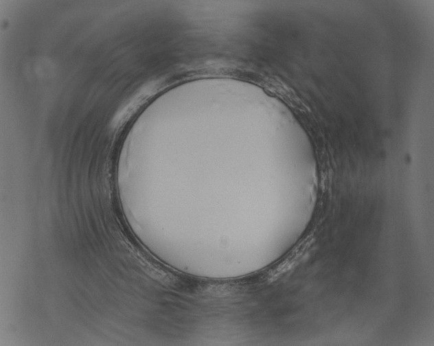 X0000073950341200609181406