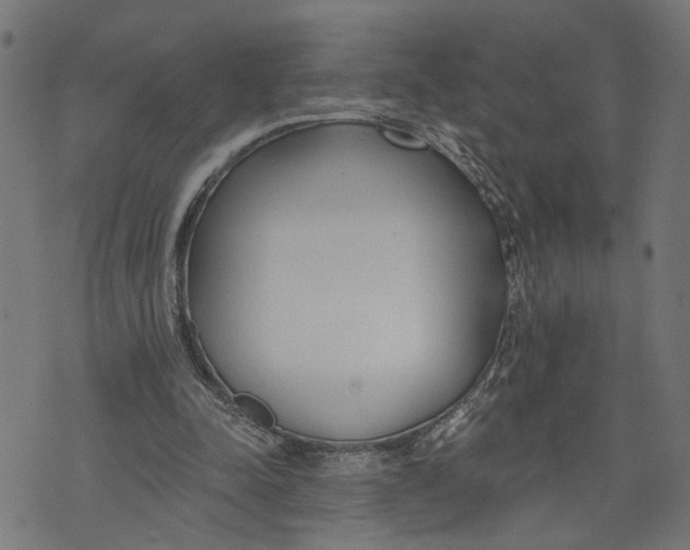 X0000073950342200609181406